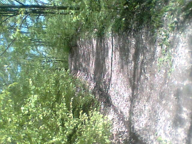 Иван Бонь фотография #45