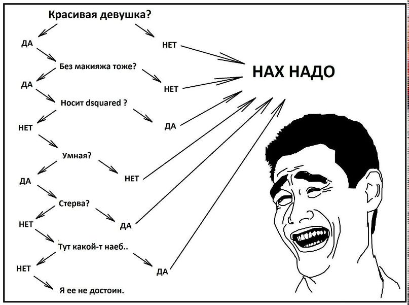 Дмитрий Евлашкин фотография #34