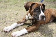 Кирилл Митяев фотография #14 (источник - https://vk.com/id6828811)