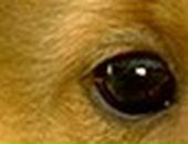 Аліна Третякович фотография #22 (источник - https://vk.com/id36342602)