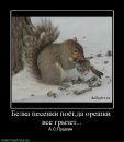 Фотография Истоминой Беллы
