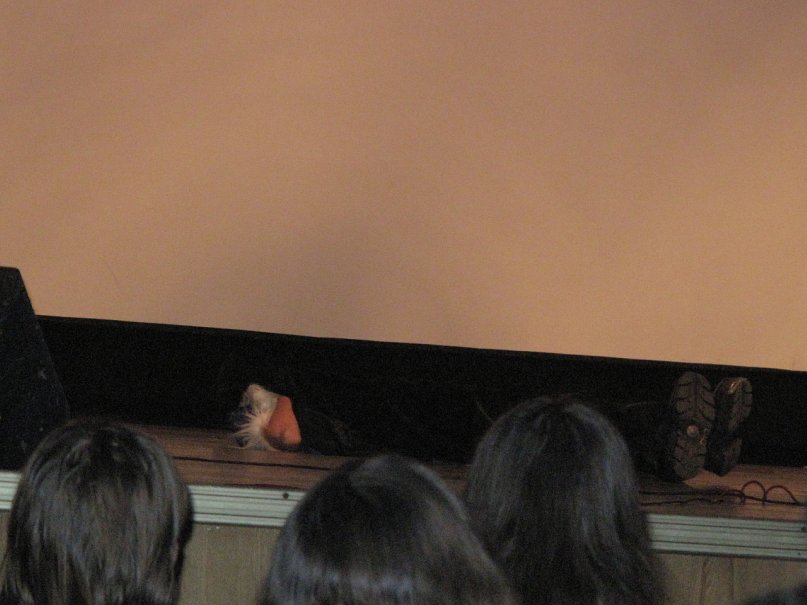 Александр Васильев фотография #33