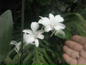 Наталка Козоріз фотография #24 (источник - https://vk.com/id25108982)