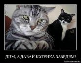 Наталія Білонога фотография #26 (источник - https://vk.com/id83141154)