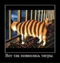 Юльчік Потапова фотография #47 (источник - https://vk.com/id79670804)