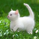 Каріна Ковальчук фотография #5 (источник - https://vk.com/id71177749)