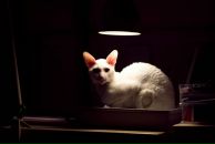 Фотография Ковалева Сергея