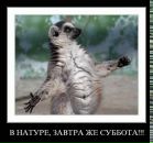 Фотография Tsepilova Julia