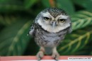 Міша Вишкварка фотография #49 (источник - https://vk.com/id72684444)