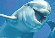 Фотография Ерёмкина-Крюгера Андрея