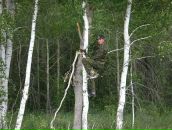 Фотография Ильченко Сани