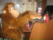 Фотография  