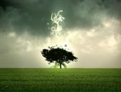 Фотография Осадчая Марина