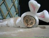 Фотография Ананича Павла