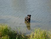 Фотография Самарина Даниила