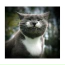 Фотография Белого Алексея