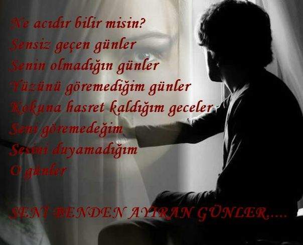 №1, Ismet Seferov №1, Ismet Seferov