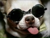 Наталія Сиско фотография #16 (источник - https://vk.com/id32493309)