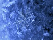 Вікторія Турчин фотография #31 (источник - https://vk.com/id10522888)