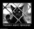 Петро Тернопільський фотография #20 (источник - https://vk.com/id114014460)