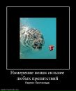 Фотография Лаврова Евгена