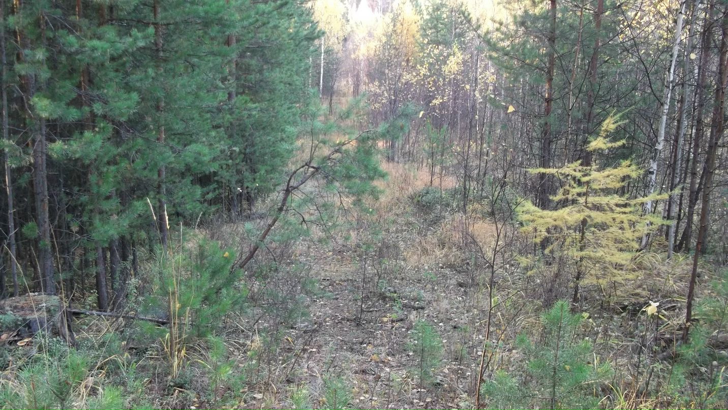 Александр Бабенко фотография #47