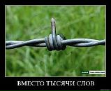 Masha :-) фотография #32 (источник - https://vk.com/id10666606)