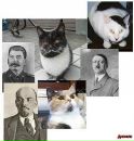 Ірина Василевич фотография #38 (источник - https://vk.com/id23709707)