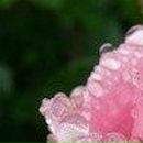 Людок Корнійчук фотография #43 (источник - https://vk.com/id21605957)