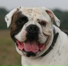 Максим Бабич фотография #22 (источник - https://vk.com/id7575254)