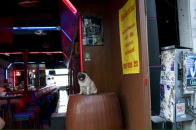 Max Efimov фотография #49 (источник - https://vk.com/id317116)