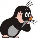 Микита Олімпієв фотография #39 (источник - https://vk.com/id7061882)