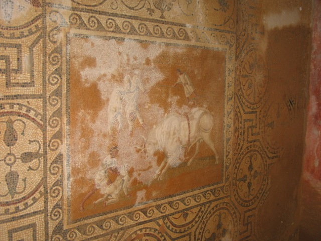 Motsem Shena фотография #26