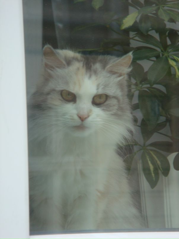 Максим Коваленко фотография #41