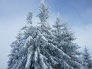 Сєрий Ліщук фотография #38 (источник - https://vk.com/id59694193)