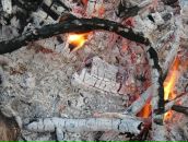 Ростік Денько фотография #42 (источник - https://vk.com/id63193512)