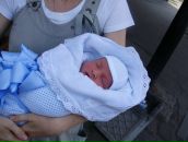 Фотография Чабуткиной Алины