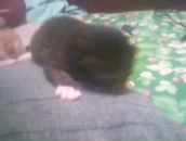 Антон Доморов фотография #38 (источник - https://vk.com/id2985773)