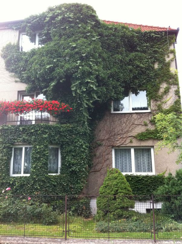 Евгений Кулагин фотография #3