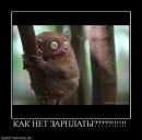 Фотография Иванова Константина