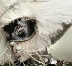 Фотография Абу Дмитрия