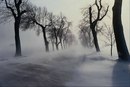 Каття Ткачук фотография #20 (источник - https://vk.com/id163227124)