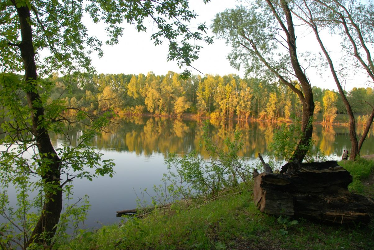 Ильдар Зинатуллин фотография #27