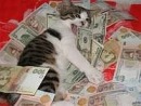 Софія Борщук фотография #39 (источник - https://vk.com/id62911831)