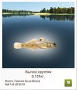 Віталій Холодило фотография #1