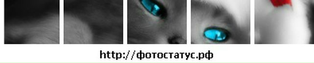 Іруся Вакарчук фотография #50 (источник - https://vk.com/id88752413)