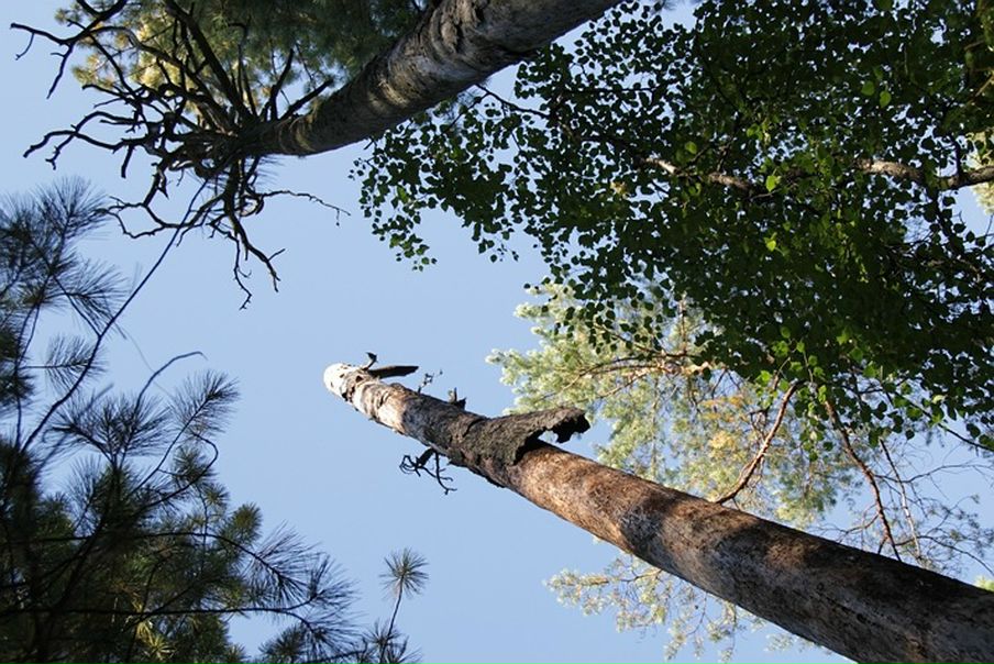 Дмитрий Кушкин фото №21