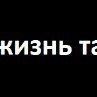 Сергій Грицуник фотография #48 (источник - https://vk.com/id123636674)