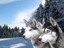 Ілля Мазурець фотография #5 (источник - https://vk.com/id150734075)