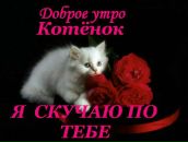 Іван Попович фотография #19 (источник - https://vk.com/id114307623)